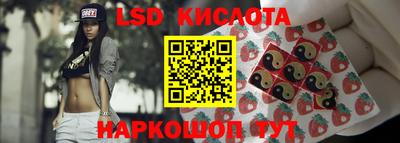 амф Новокубанск