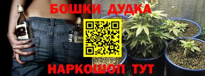 амф Новокубанск