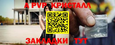 амф Новокубанск