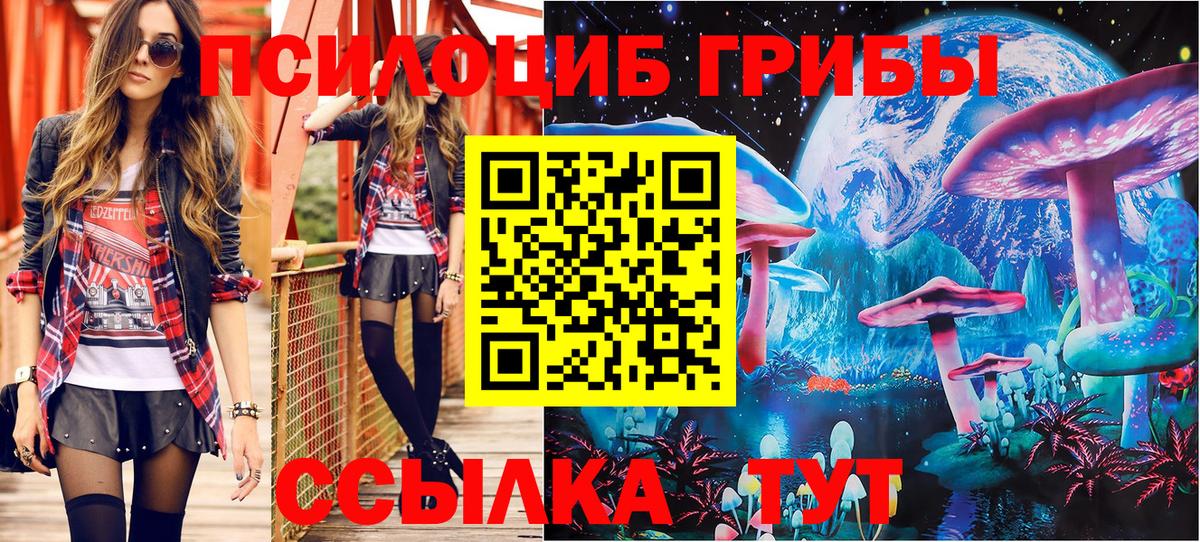 Сегежа  Галлюциногенные грибы мицелий  Вход с VPN  Псилоцибиновые грибы прущие грибы 
